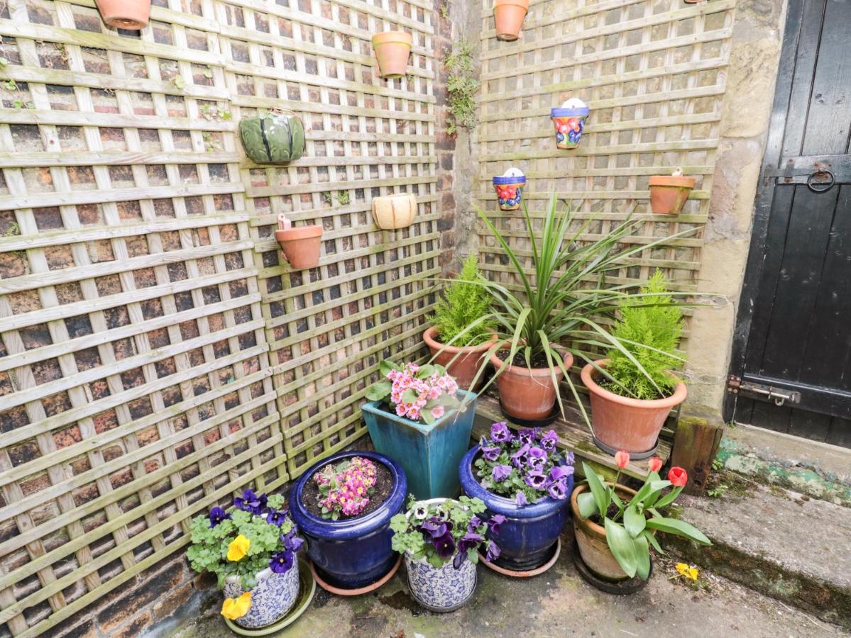 Coquet Cottage Amble Ngoại thất bức ảnh